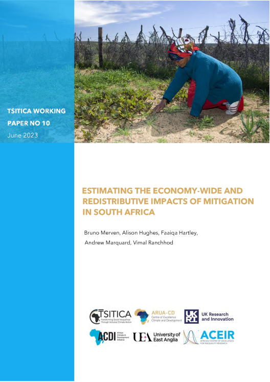 Cover of Estimating the economy-wide and redistributive impacts of mitigation in South Africa