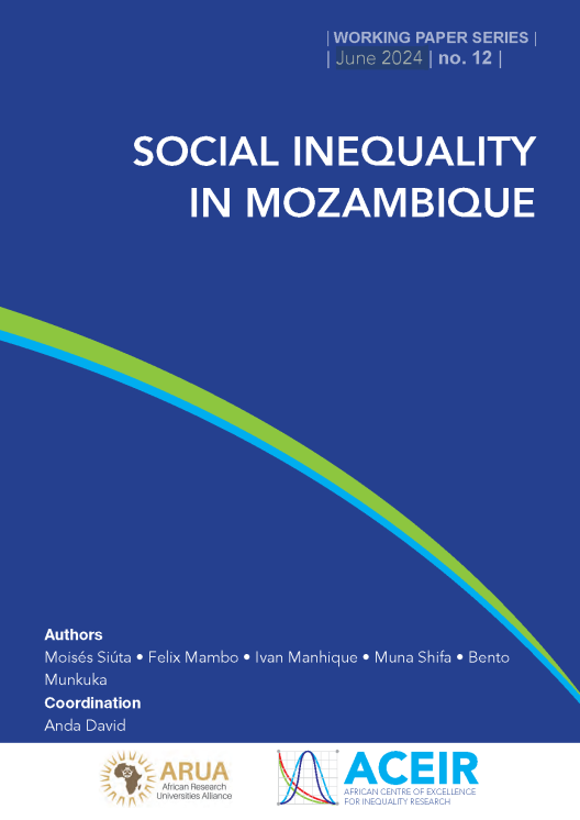 Cover of Social inequality in Mozambique