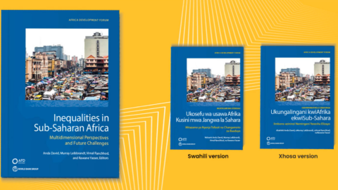 Image of Inequalities in Sub-Saharan Africa book