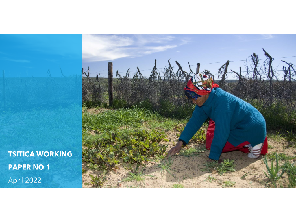 Image of the working paper cover, which uses a photo of an African woman tending to plants in a food garden