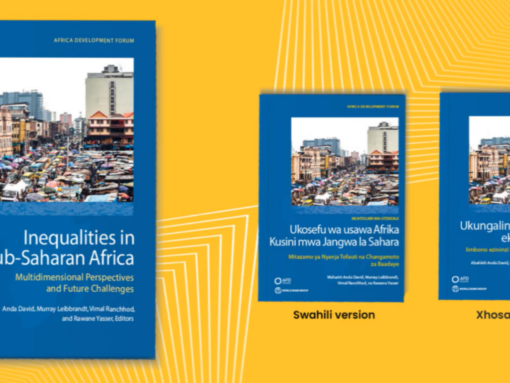 Image of Inequalities in Sub-Saharan Africa book
