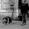 Image of wealthy white people walking past a black beggar